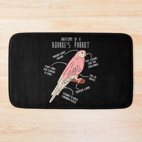 Item preview, Bourke's Parrot Anatomy designed and sold by Clara Hollins.