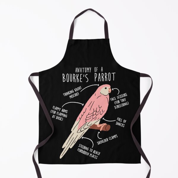 Item preview, Bourke's Parrot Anatomy designed and sold by Clara Hollins.