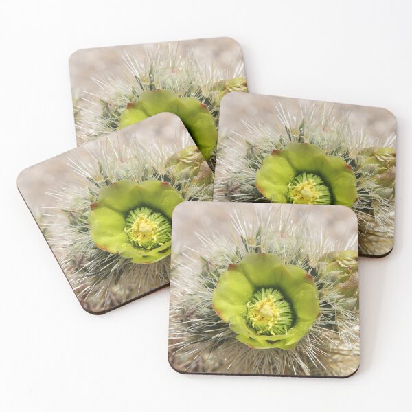 Artikelvorschau, Kaktus Blume entworfen und verkauft von heatherfriedman.