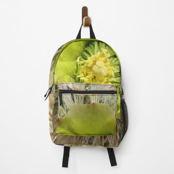 Item preview, Cactus Flower designed and sold by heatherfriedman.