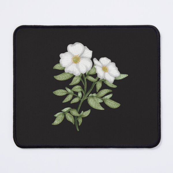Item preview, Rosa laevigata designed and sold by pinkyfish1010.