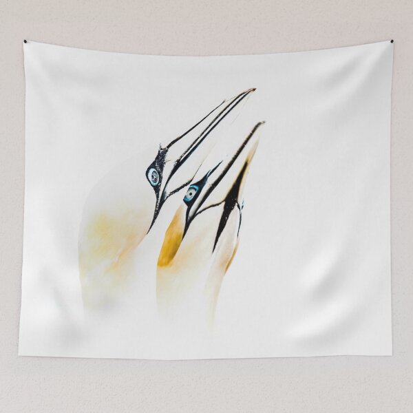 Item preview, Northern Gannet Seabird designed and sold by Strings  Stan.