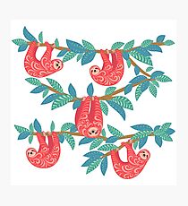 Cute sloths with ornament hanging on the branches of trees. Photographic Print