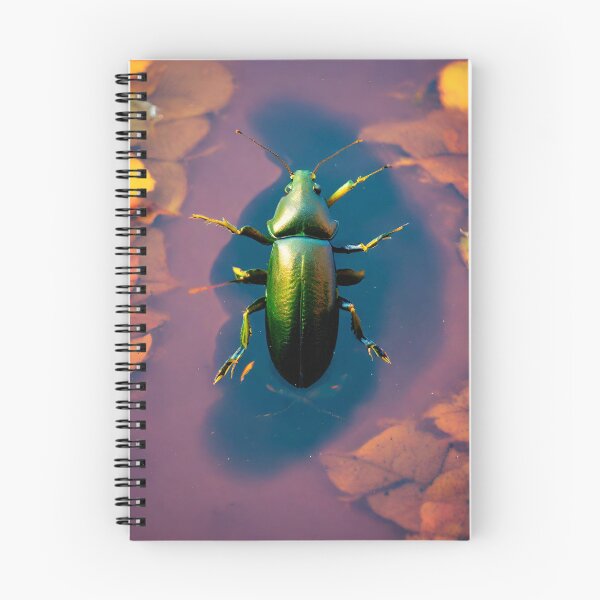 Item preview, Aquatic Avengers: The World of Water Beetles designed and sold by JuniorLynchj.