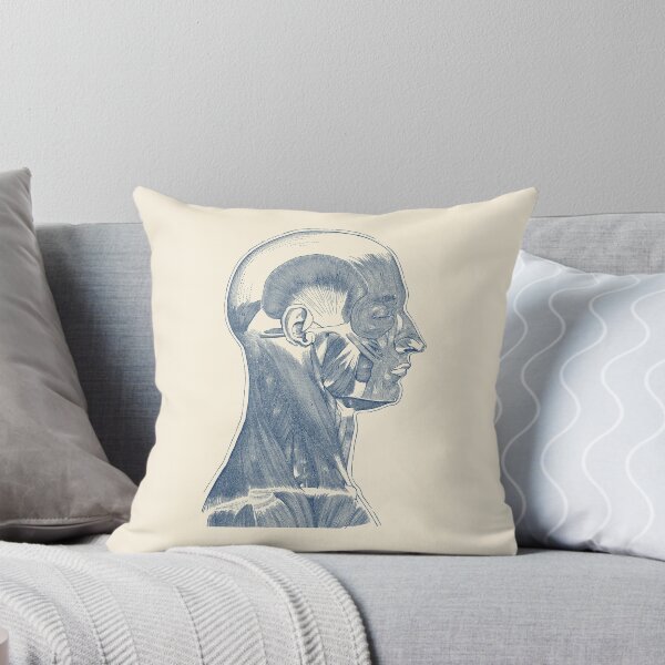 Item preview, Head and Neck Muscular System - Simple Diagram designed and sold by VAposters.