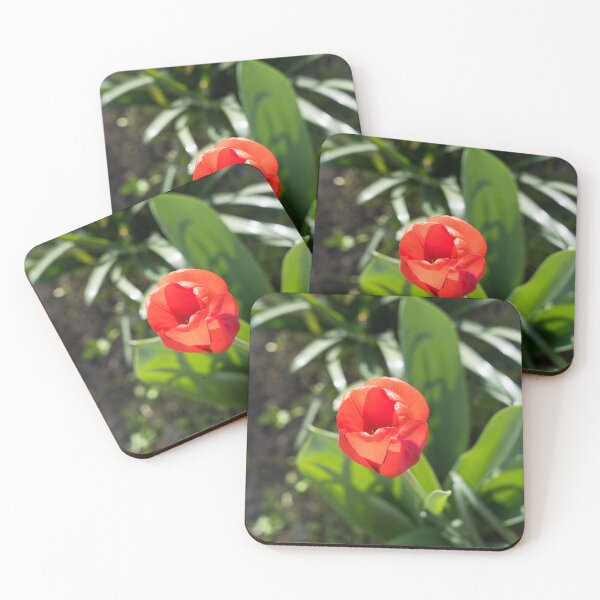 Item preview, Bold Red Tulip Glowing in the Sunshine designed and sold by Georgia Mizuleva.