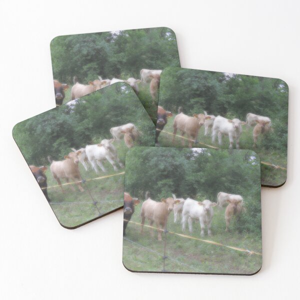 Item preview, cows watching you designed and sold by Mirtathefoto.