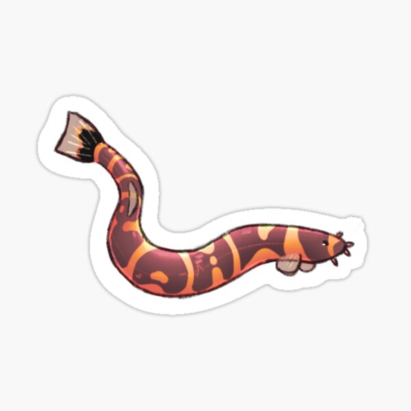 Kuhli Loach Sticker
