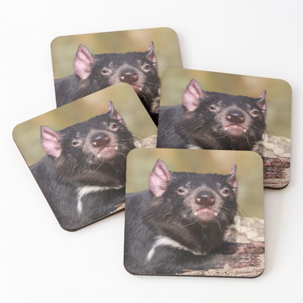 Item preview, Untamed Spirit Tasmanian Devil designed and sold by rawshutterbug.