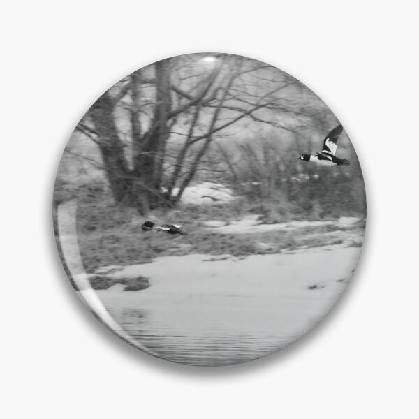 Item preview, Follow the beauty. Common goldeneye bw designed and sold by Jouko Lehto Photography.