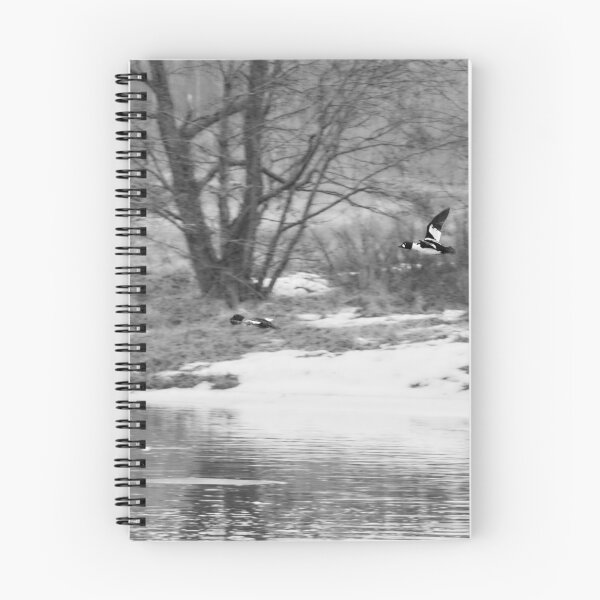 Item preview, Follow the beauty. Common goldeneye bw designed and sold by Jouko Lehto Photography.