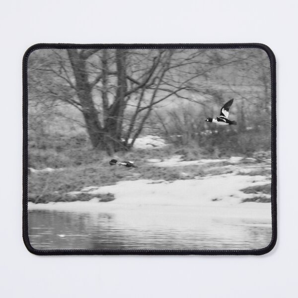 Item preview, Follow the beauty. Common goldeneye bw designed and sold by Jouko Lehto Photography.