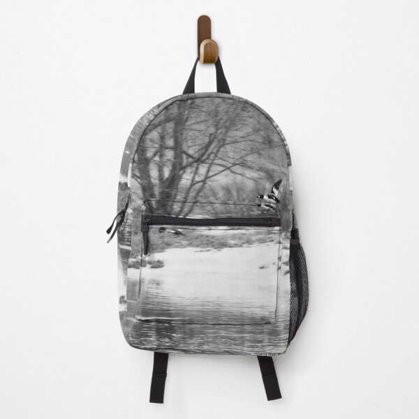 Item preview, Follow the beauty. Common goldeneye bw designed and sold by Jouko Lehto Photography.