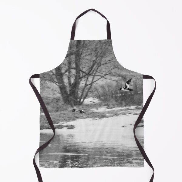 Item preview, Follow the beauty. Common goldeneye bw designed and sold by Jouko Lehto Photography.