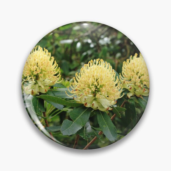 Item preview, Yellow Waratahs designed and sold by Pixxowl.