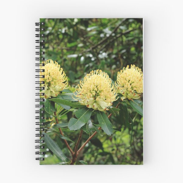 Item preview, Yellow Waratahs designed and sold by Pixxowl.