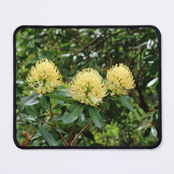Item preview, Yellow Waratahs designed and sold by Pixxowl.