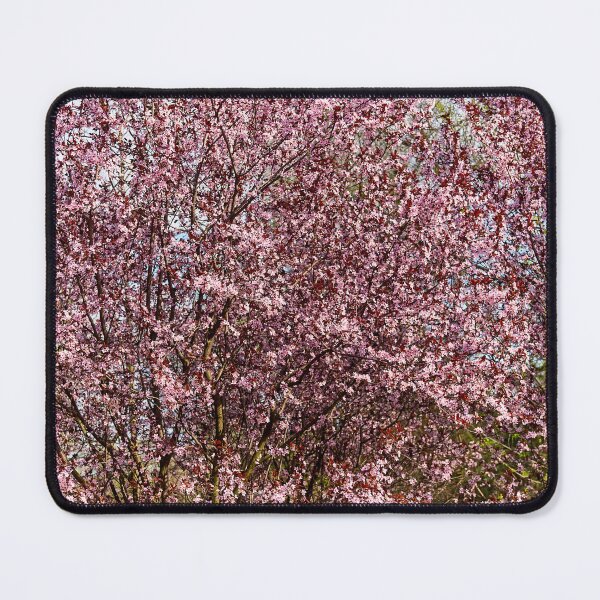 Item preview, sakura flowers in spring designed and sold by IgorKovalenko.