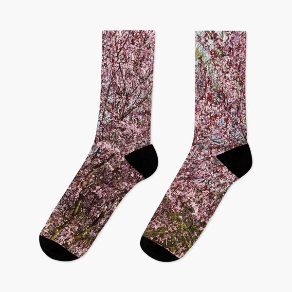 Item preview, sakura flowers in spring designed and sold by IgorKovalenko.