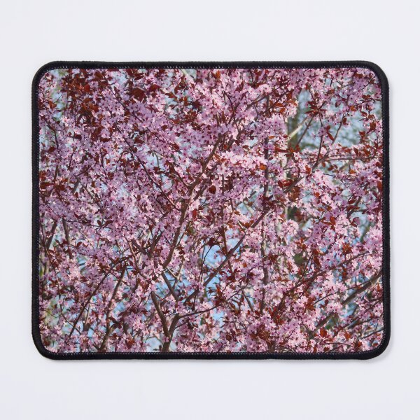 Item preview, sakura flowers in spring designed and sold by IgorKovalenko.