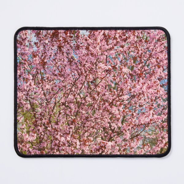 Item preview, sakura flowers in spring designed and sold by IgorKovalenko.