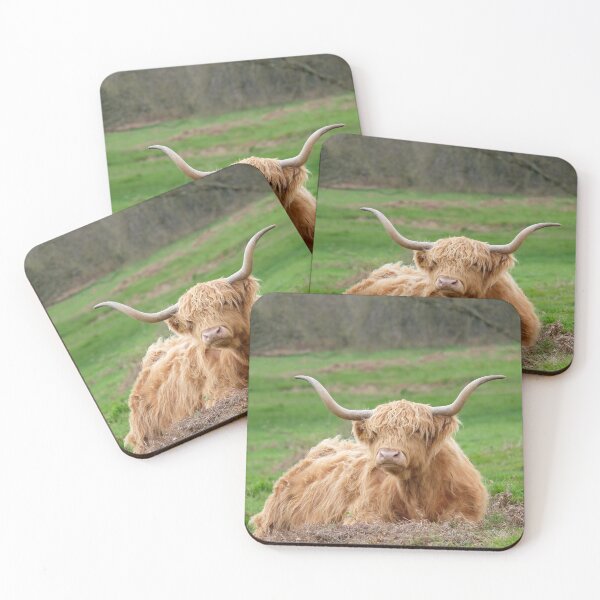Item preview, english longhorn designed and sold by markspics.
