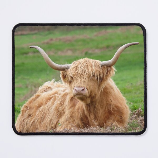 Item preview, english longhorn designed and sold by markspics.