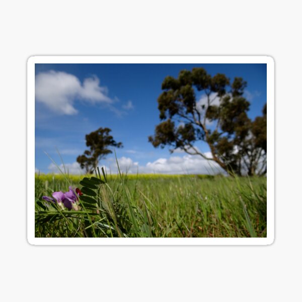Item preview, Australian Outback Fields of Glory designed and sold by exploramum.