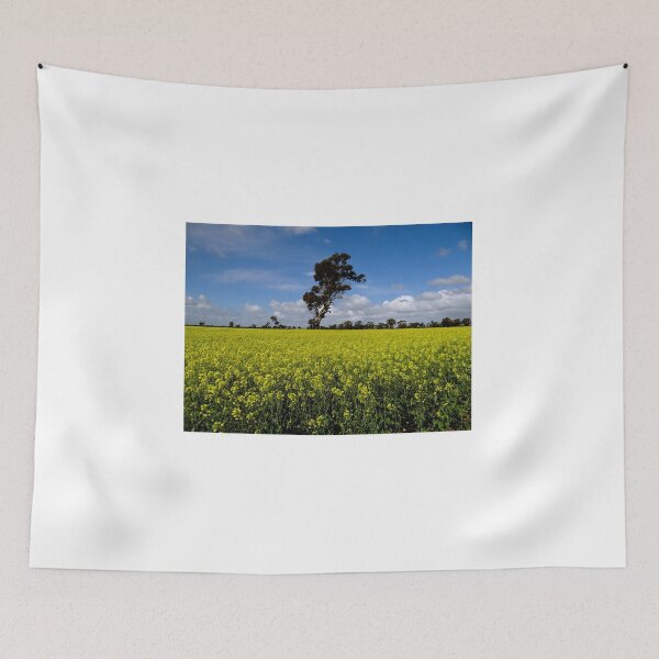 Item preview, Blue sky over Australian crops designed and sold by exploramum.