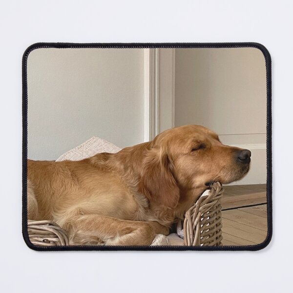 Item preview, Golden Retriever relaxing designed and sold by Christel2112.