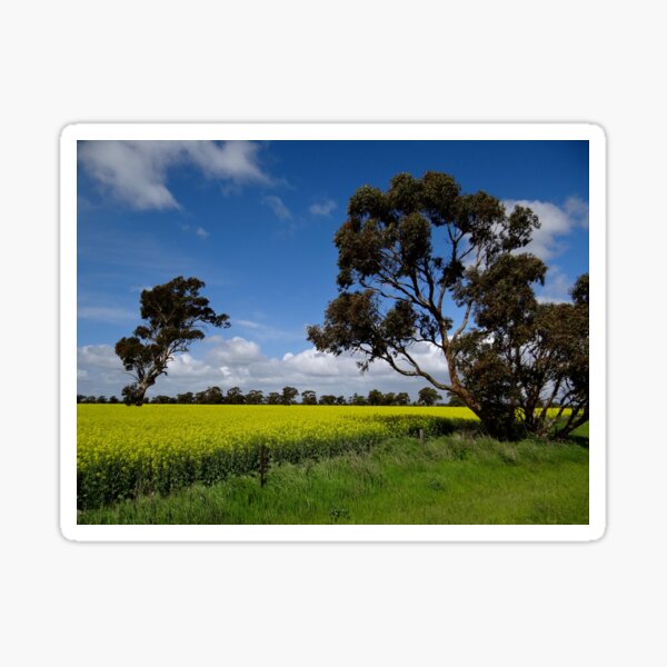 Item preview, Gorgeous crops in the Australian Outback designed and sold by exploramum.