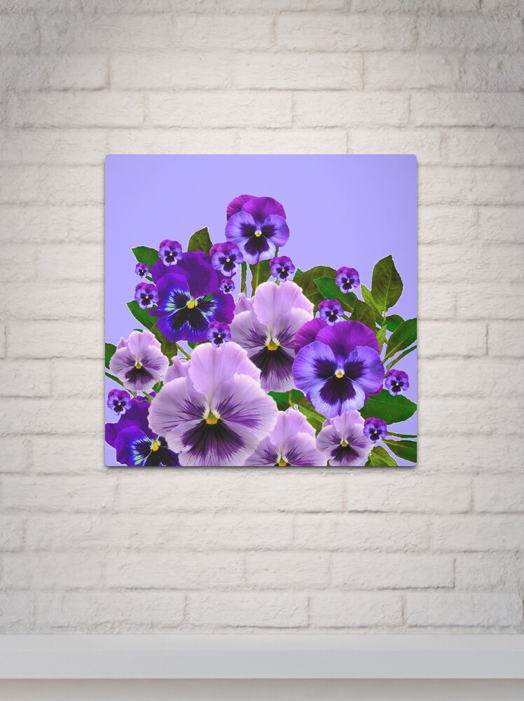 TOUCH OF SPRING PINK- PURPLE PANSY FLOWERS  Metal Print for Sale by  sharlesart