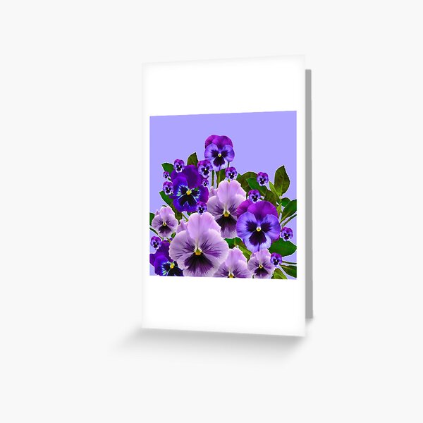 SPRING PURPLE PANSY FLOWERS Greeting Card