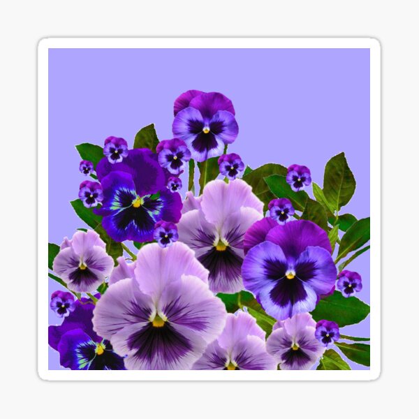 Item preview, TOUCH OF  SPRING PINK- PURPLE PANSY FLOWERS  designed and sold by sharlesart.
