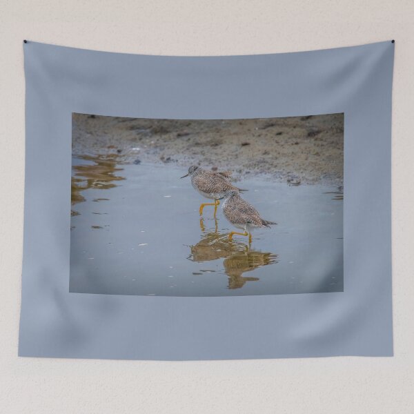 Item preview, Yellowlegs Tiptoe Through the Water designed and sold by Debra Martz.