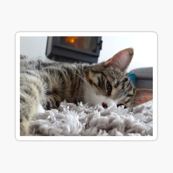 Item preview, Kitty cat lying by the fire designed and sold by exploramum.