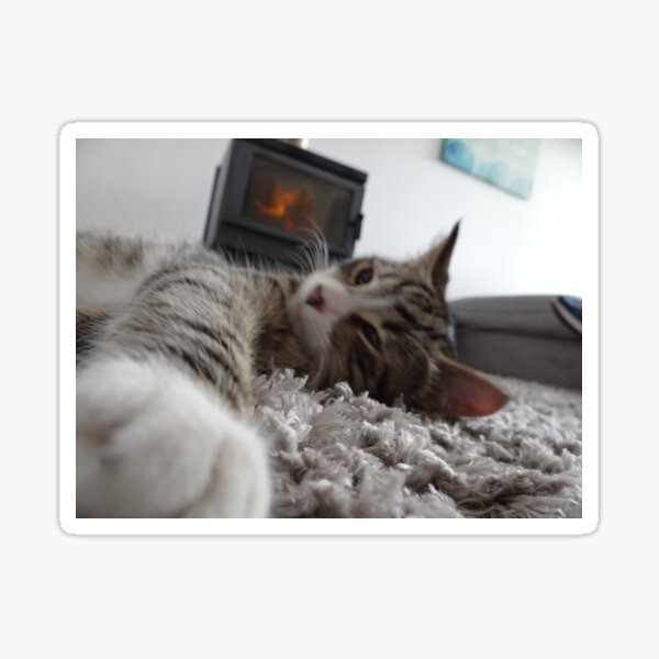 Item preview, Cat stretching by the fire designed and sold by exploramum.