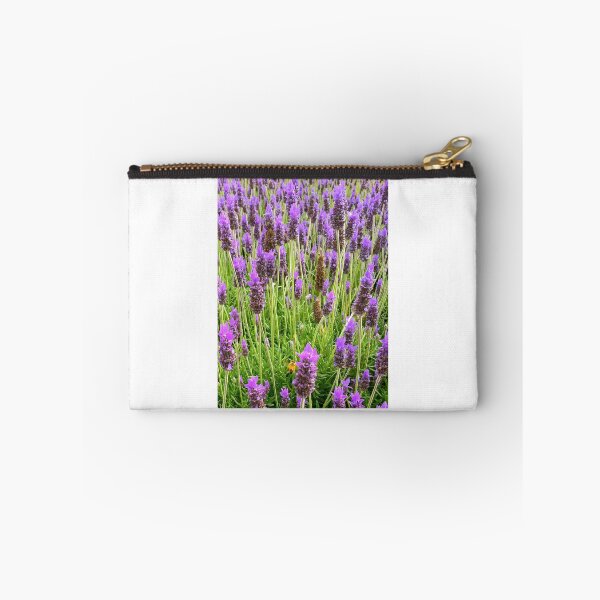 Artikelvorschau, Felder von Lavendel entworfen und verkauft von exploramum.