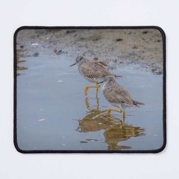 Item preview, Yellowlegs Tiptoe Through the Water designed and sold by Debra Martz.