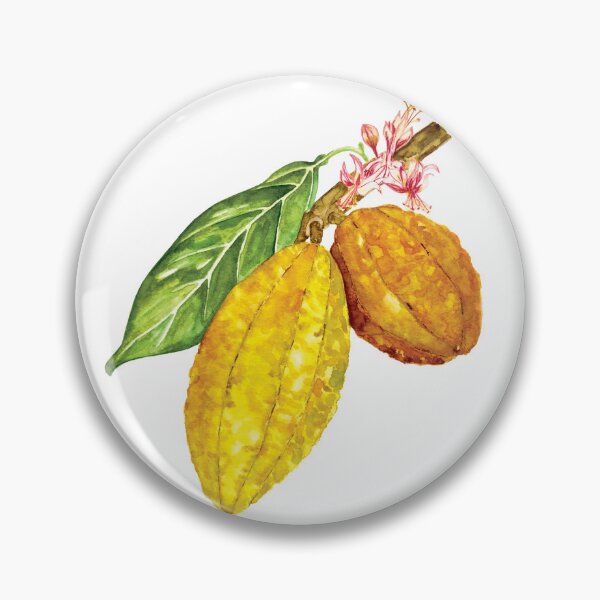 Item preview, Watercolor chocolate tree fruit or cacao designed and sold by Corduroy9.
