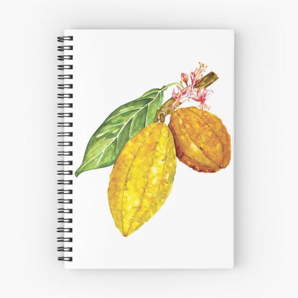 Item preview, Watercolor chocolate tree fruit or cacao designed and sold by Corduroy9.