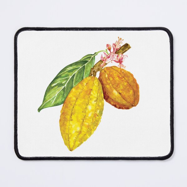 Item preview, Watercolor chocolate tree fruit or cacao designed and sold by Corduroy9.