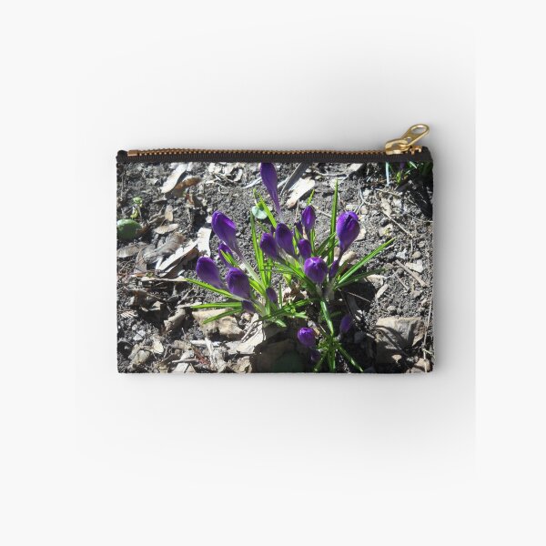 Item preview, Crocuses designed and sold by Vitta.