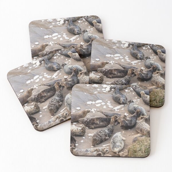 Item preview, Crest of Dusk and Sleeping Seals: Flamborough's Embrace designed and sold by ademcfade.