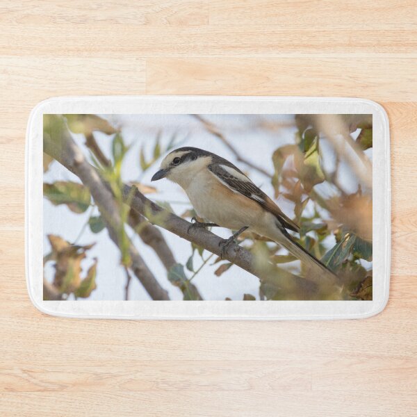 Item preview, Masked Shrike designed and sold by LaurenTucker.