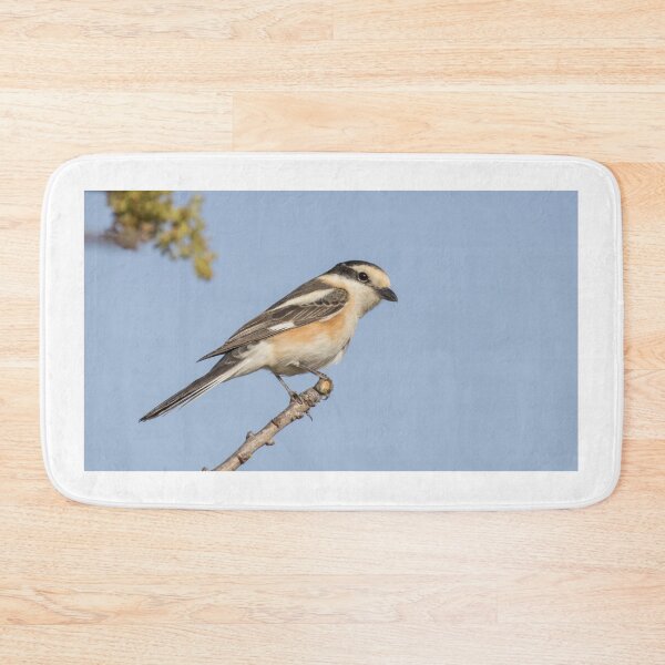 Item preview, Masked Shrike designed and sold by LaurenTucker.