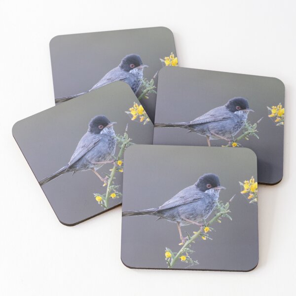 Item preview, Cyprus Warbler designed and sold by LaurenTucker.