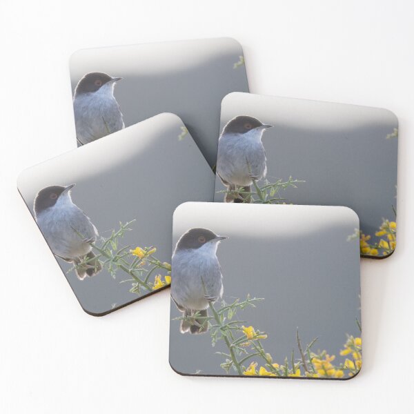 Item preview, Sardinian Warbler designed and sold by LaurenTucker.