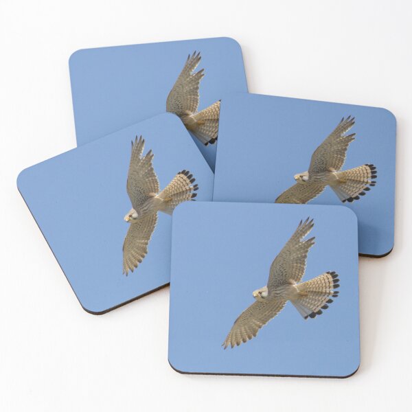 Item preview, Common Kestrel designed and sold by LaurenTucker.
