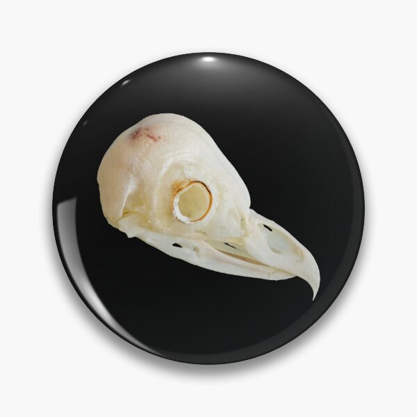 Item preview, Barn Owl skull designed and sold by Dalyndigital Photography.